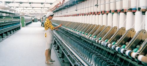 棉花發展簡史 作物的價值和可持續的意義